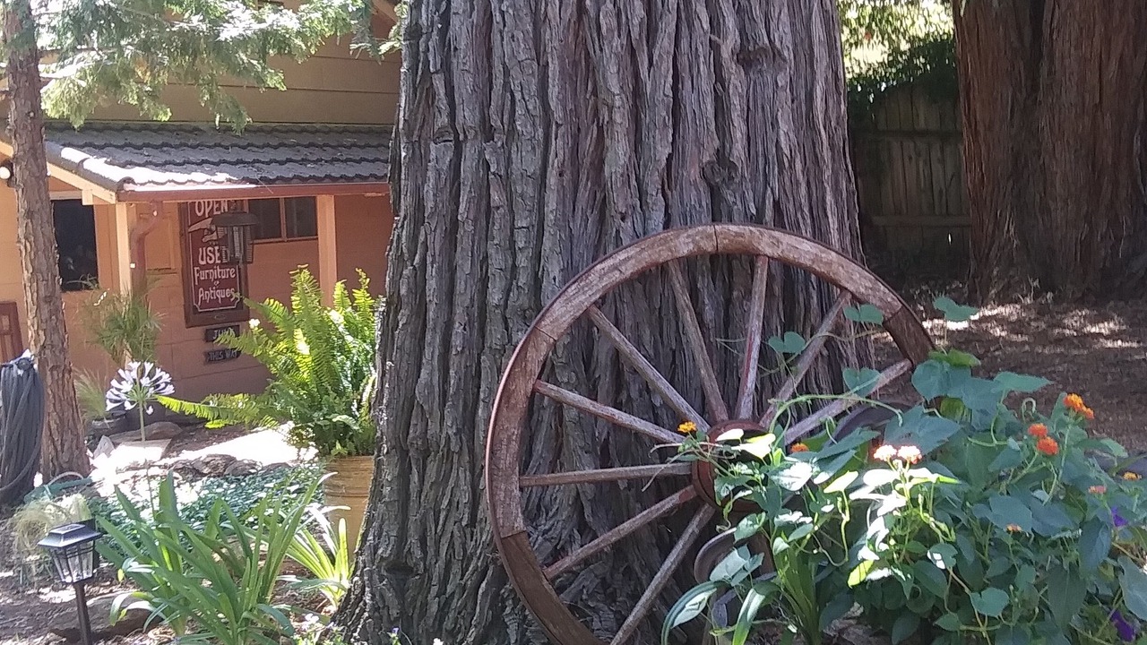 Photo of Outdoor in Sutter Creek