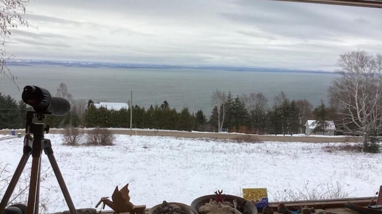 Photo of Others in La Malbaie