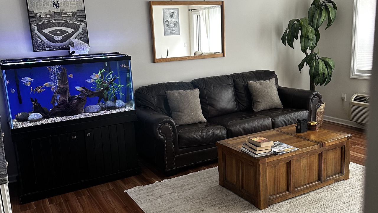 Photo of Livingroom in Port Chester