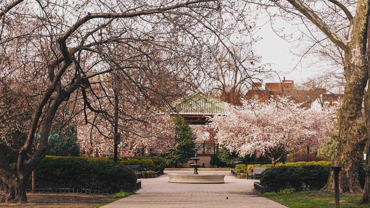 Photo of Outdoor in Downtown Jersey City