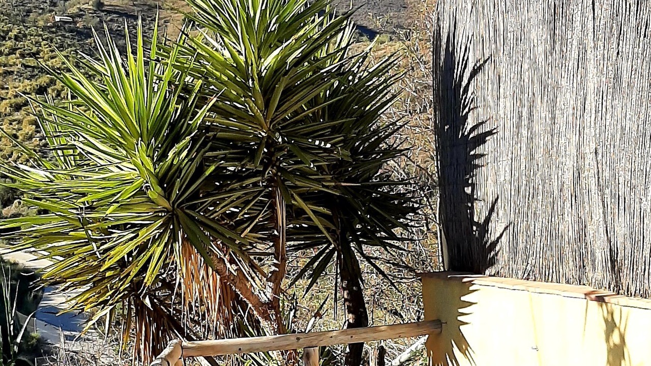 Photo of Outdoor in Cruz de Humilladero