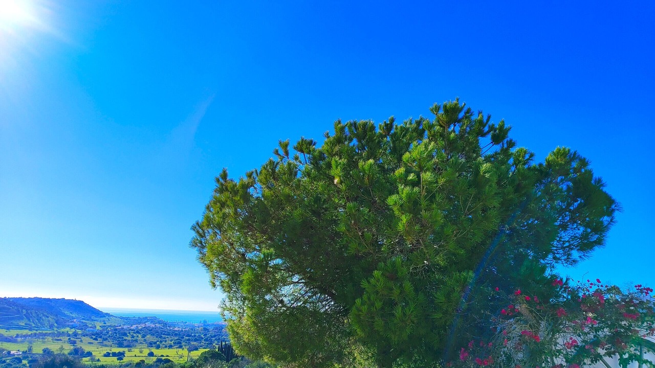 Photo of Outdoor in Funchal