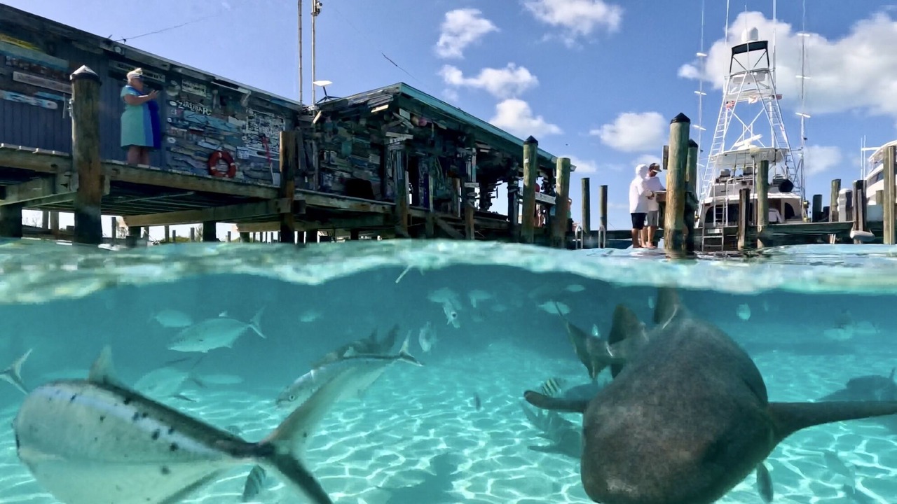 Photo of Others in Nassau