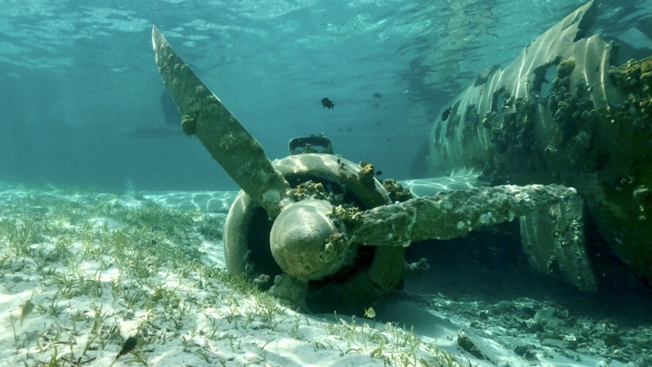 Photo of Others in Nassau