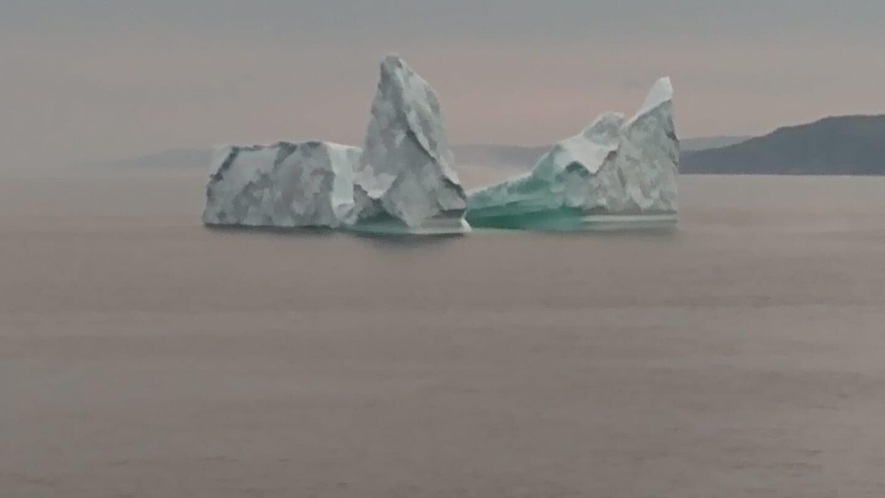 Photo of Others in Saint Lunaire-Griquet
