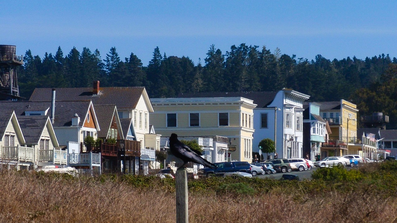 Photo of Outdoor in Little River
