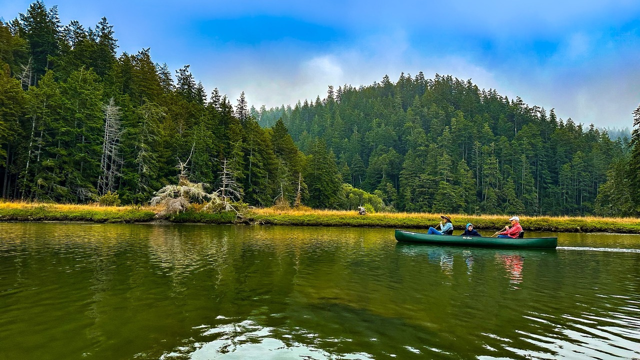 Photo of Outdoor in Little River
