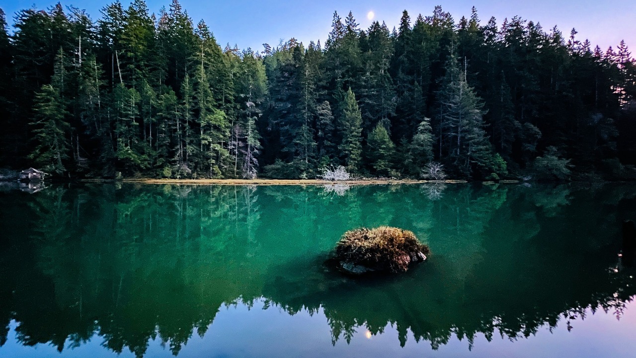 Photo of Others in Little River