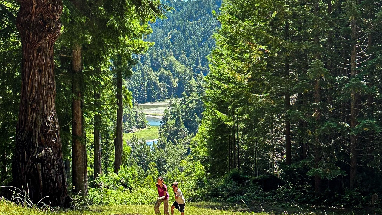 Photo of Others in Little River