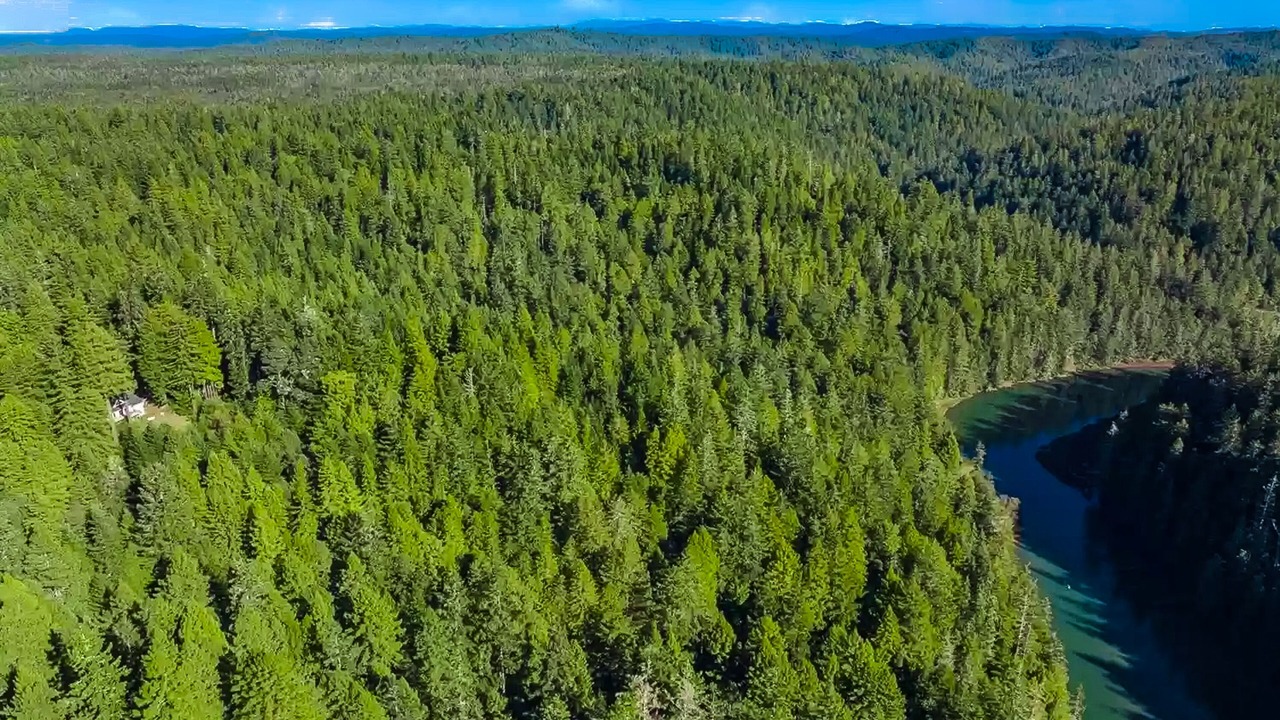 Photo of Others in Little River