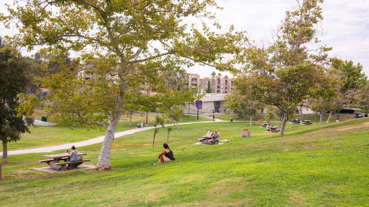 Photo of Outdoor in Melrose