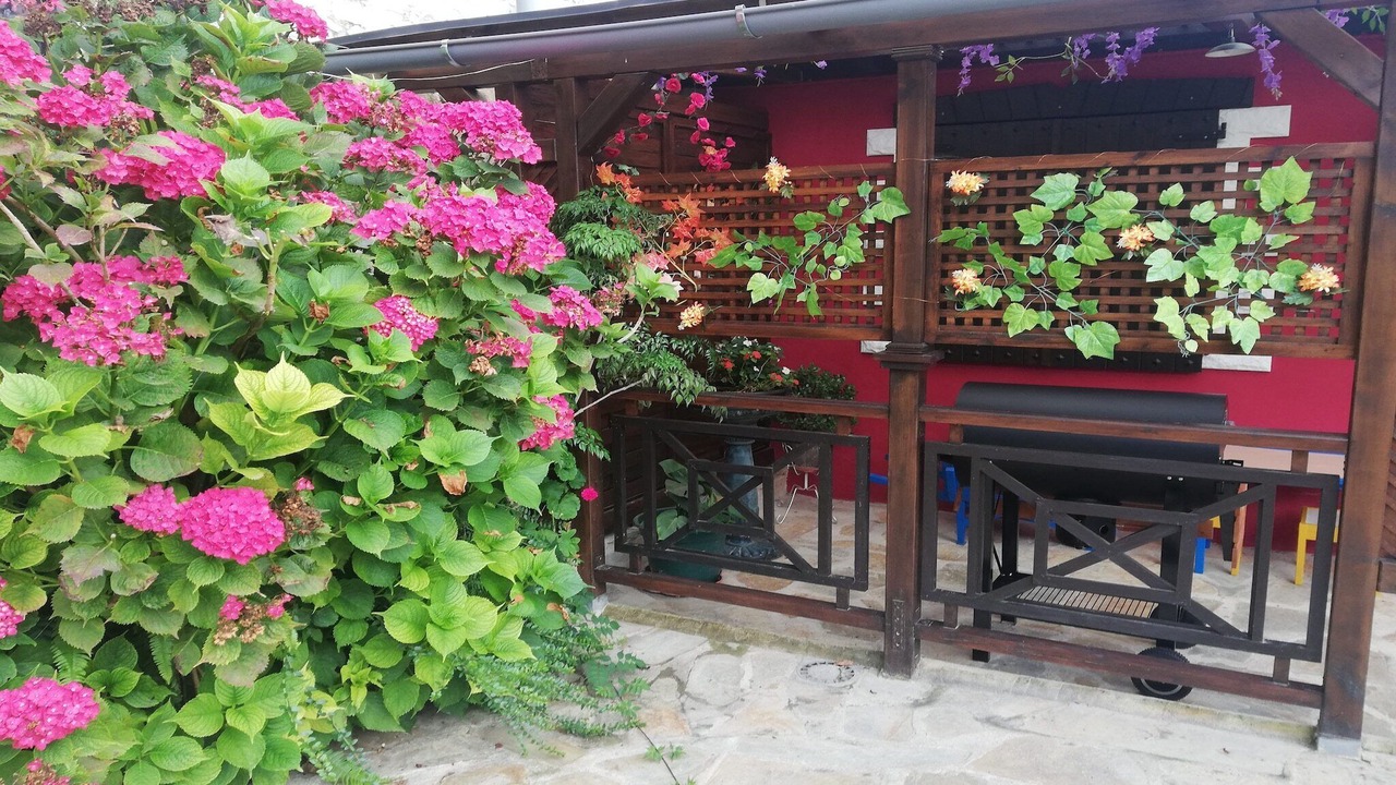 Photo of Outdoor in Villaescusa