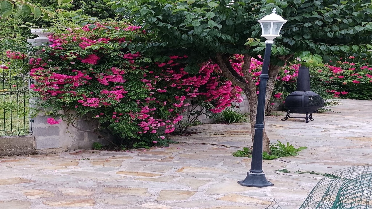 Photo of Outdoor in Villaescusa