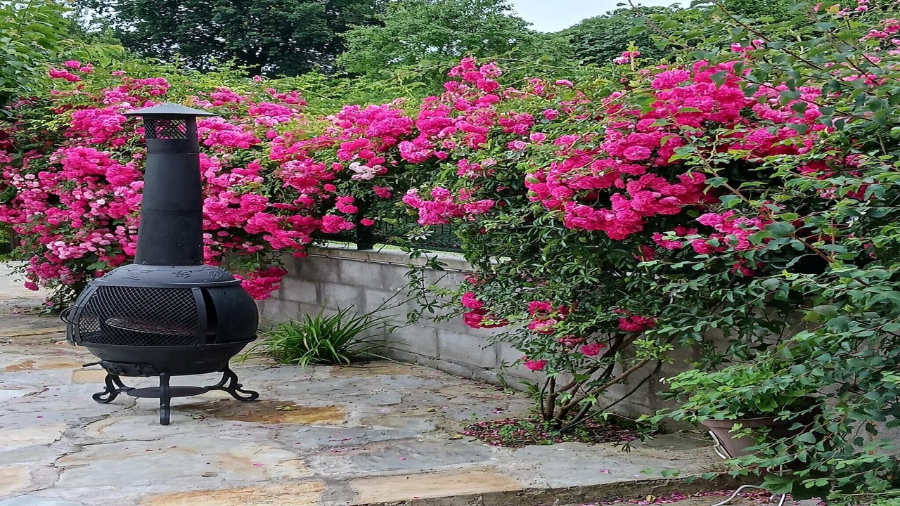 Photo of Outdoor in Villaescusa