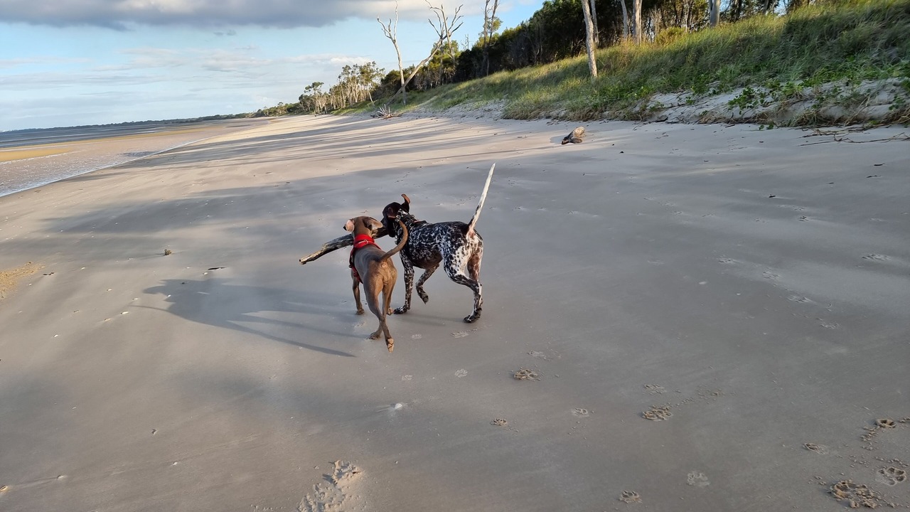 Photo of Others in Burrum Heads
