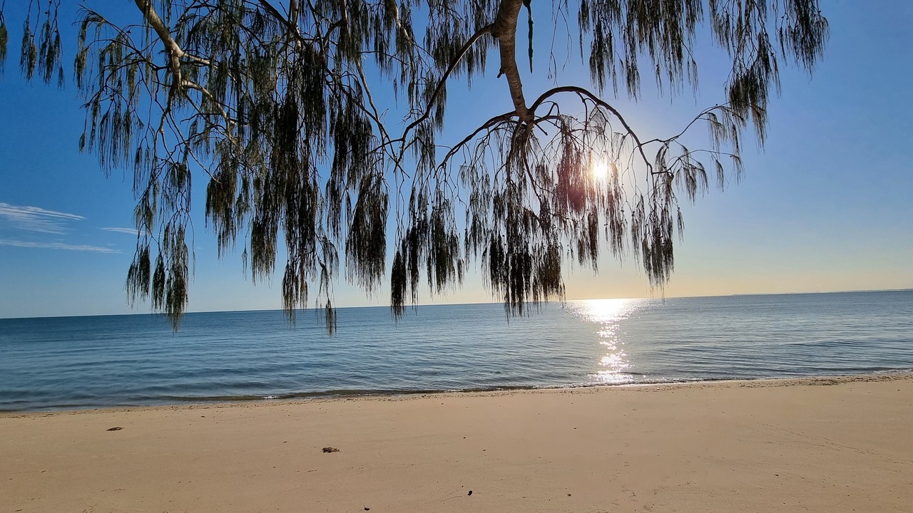 Photo of Others in Burrum Heads