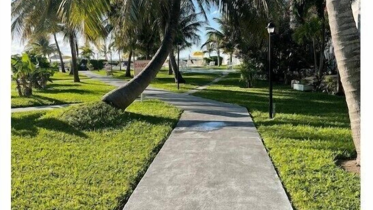 Photo of Outdoor in Williams Town