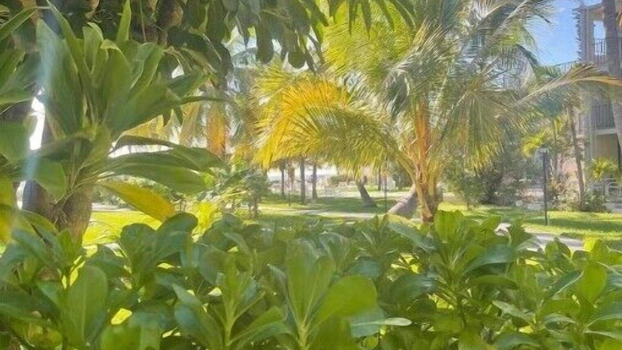Photo of Outdoor in Williams Town