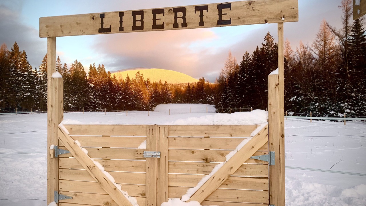 Photo of Outdoor in La Patrie