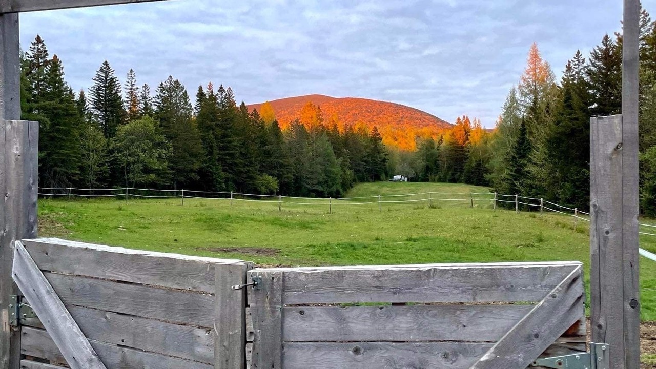 Photo of Outdoor in La Patrie
