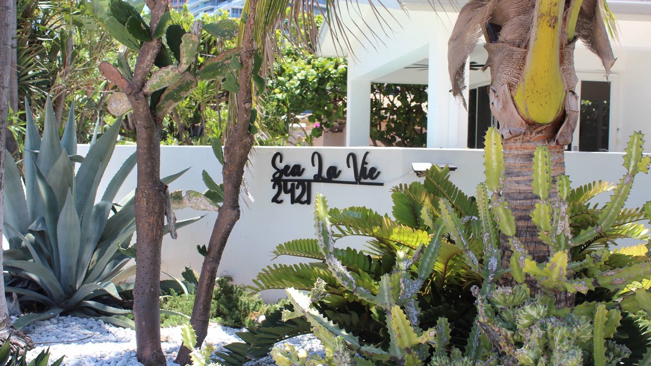 Photo of Others in Dolphin Isles
