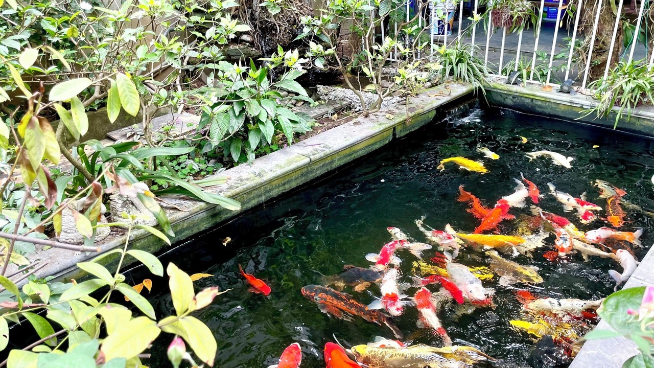 Photo of Outdoor in Dong Anh