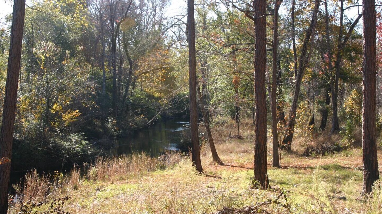 Photo of Others in Bay Minette