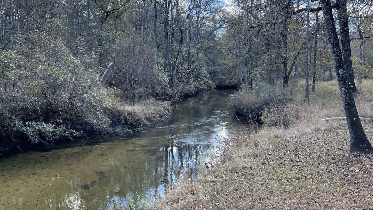 Photo of Others in Bay Minette
