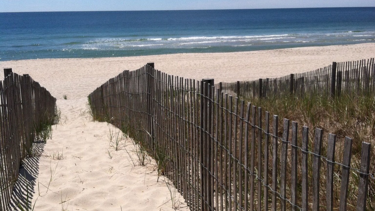 Photo of Others in Surf City