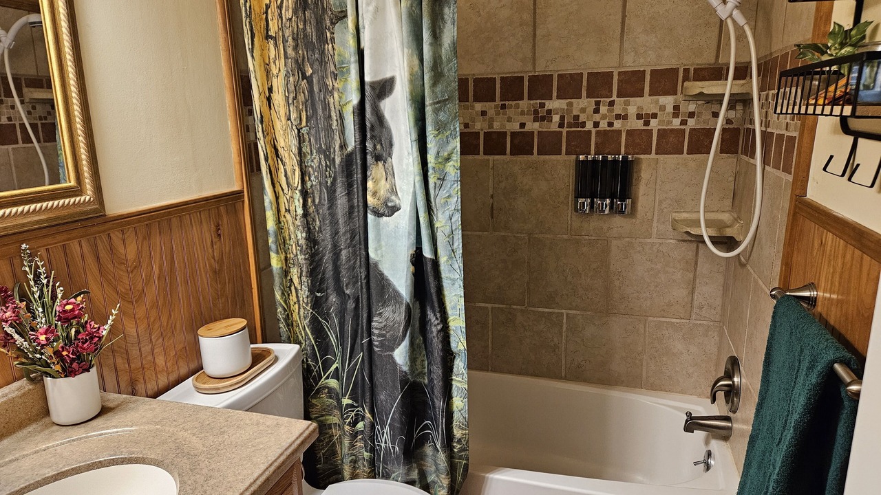 Photo of Bathroom in Maggie Valley