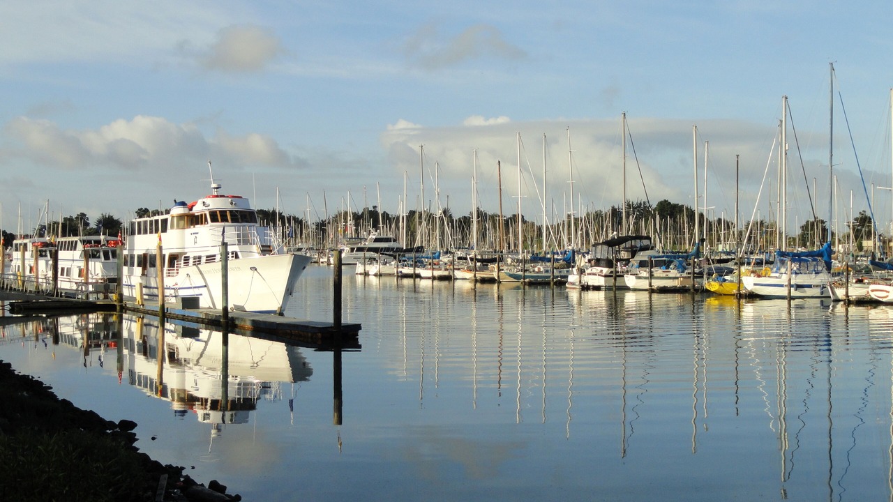 Photo of Others in Emeryville