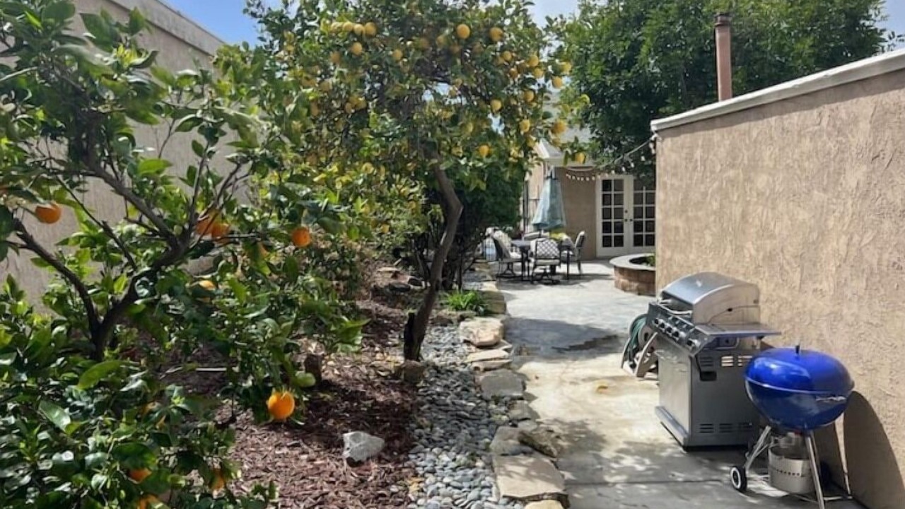 Photo of Others in Laguna Niguel