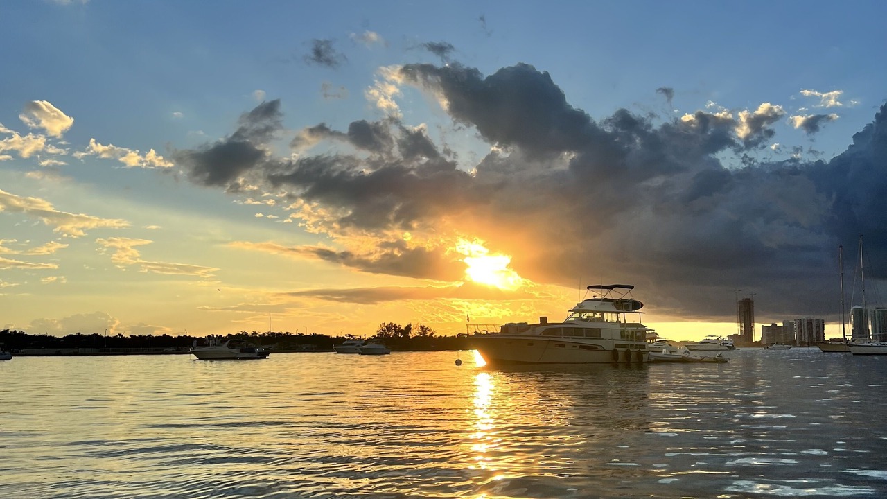 Photo of Others in Miami
