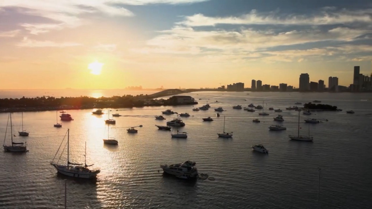 Photo of Others in Miami