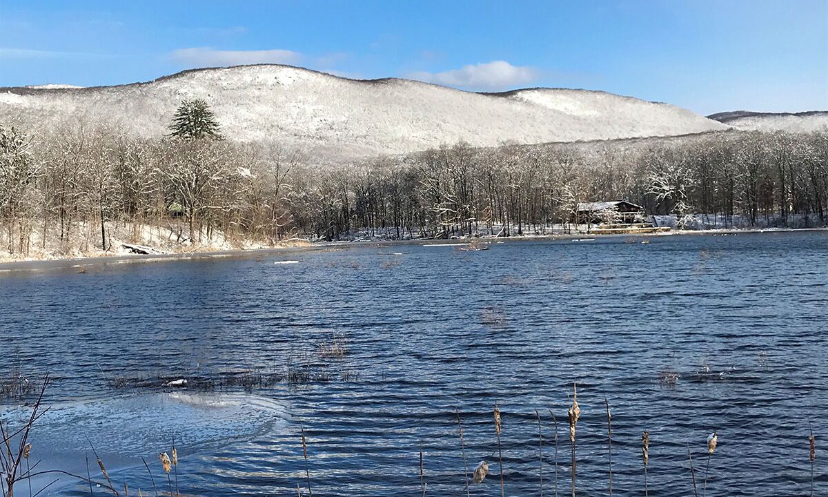 Photo of Others in Cold Spring