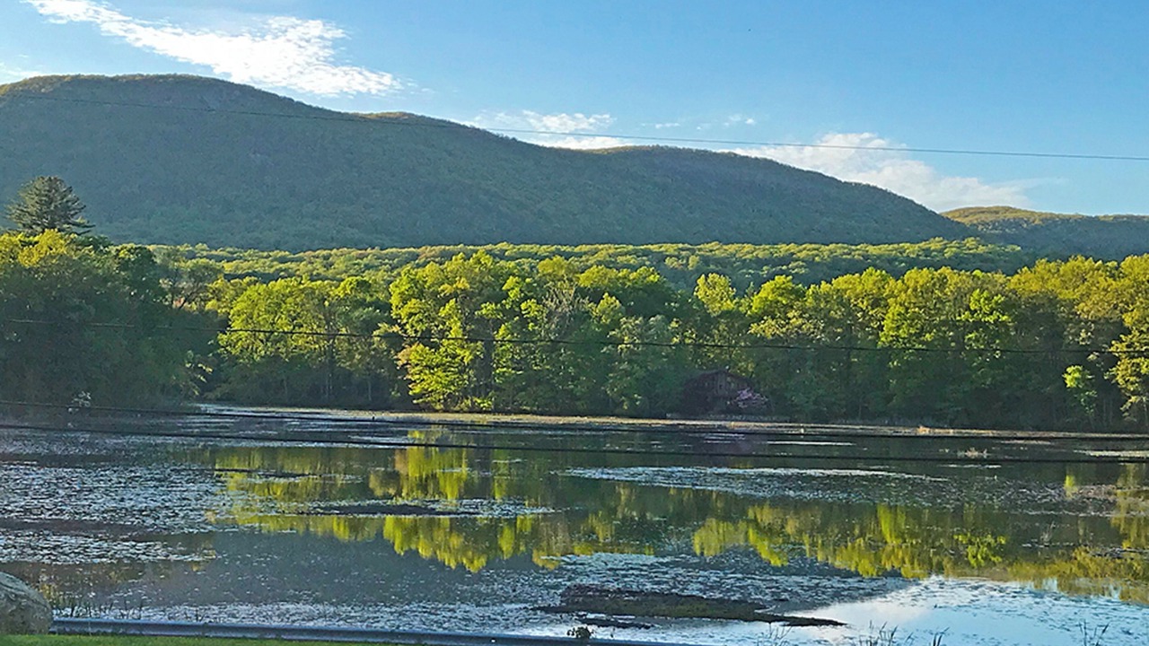 Photo of Others in Cold Spring