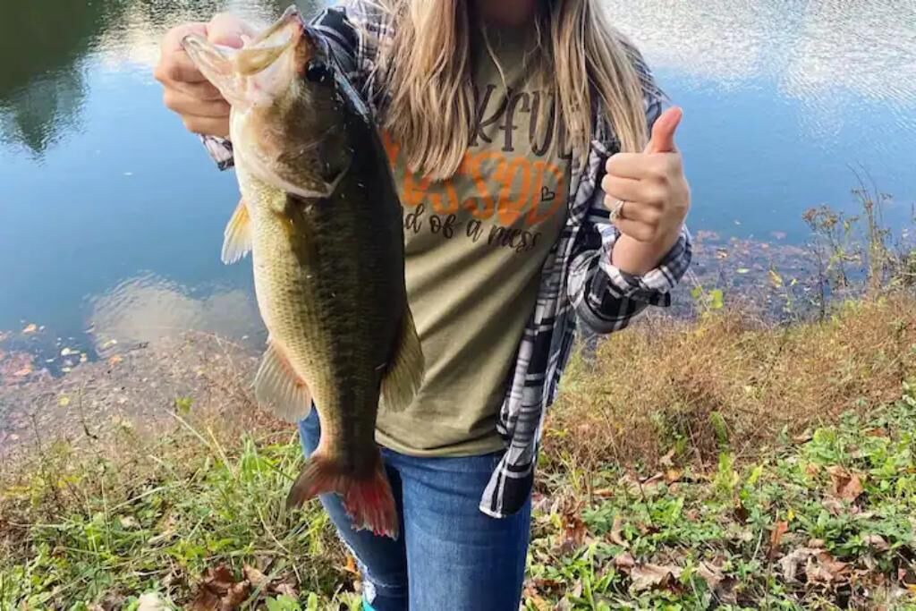 Photo of Outdoor in Albertville