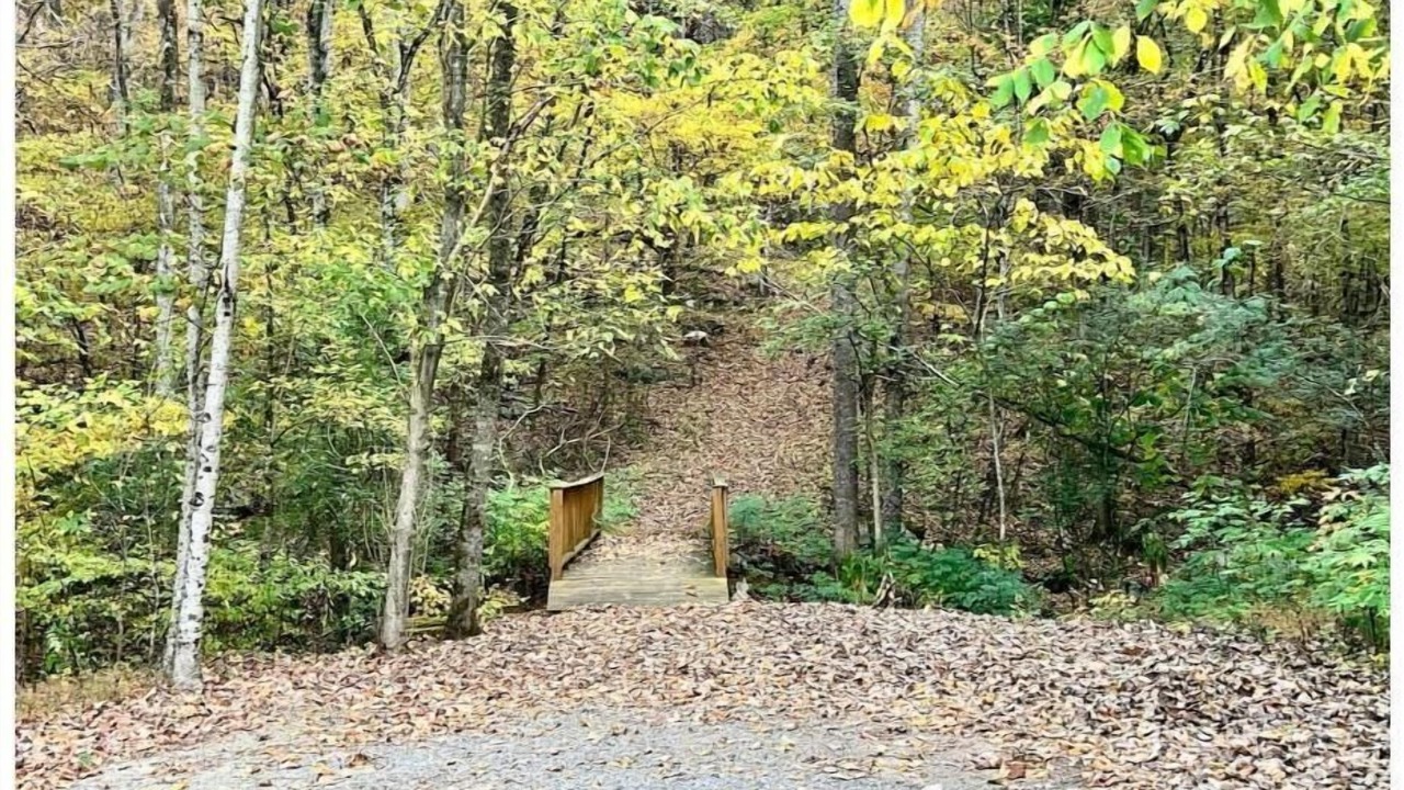 Photo of Outdoor in Albertville