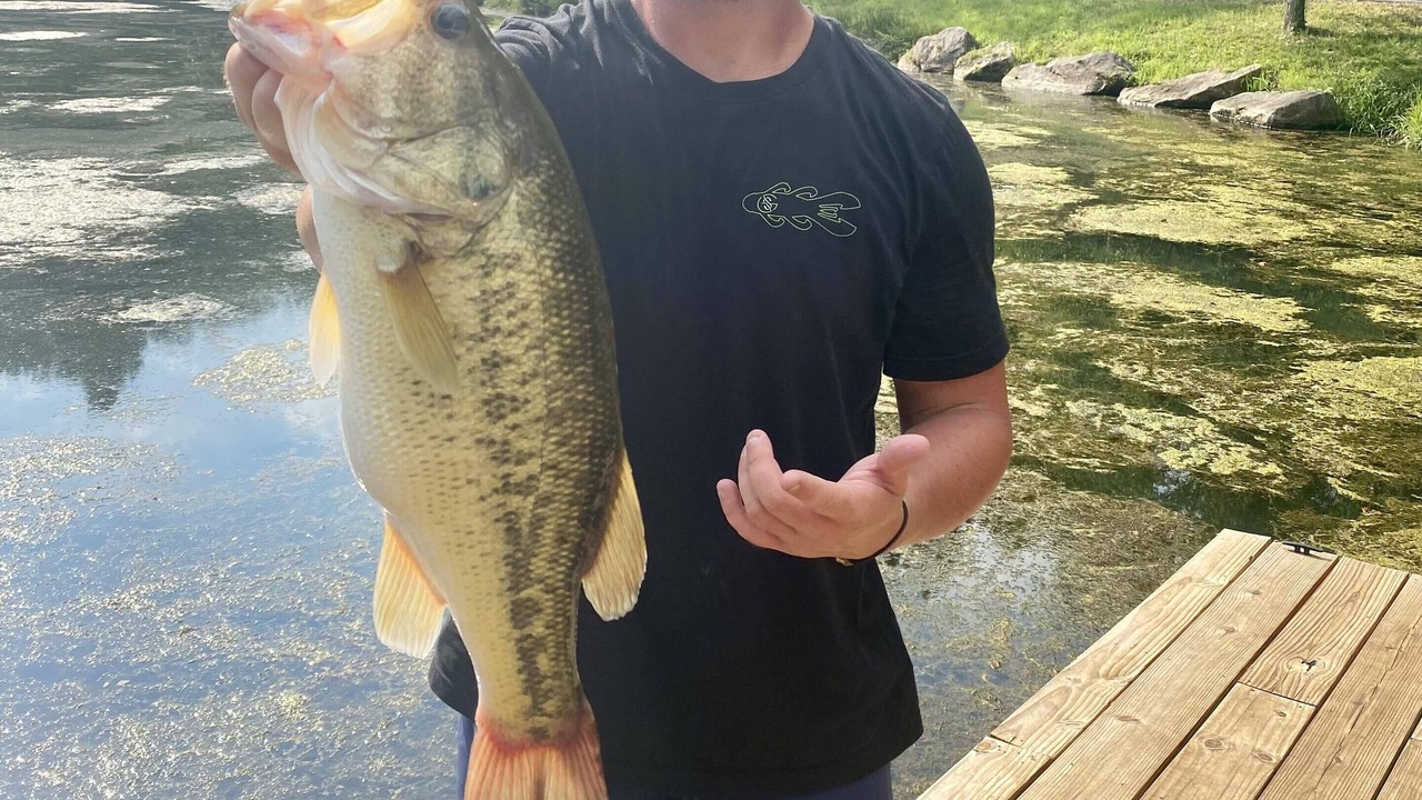 Photo of Others in Albertville