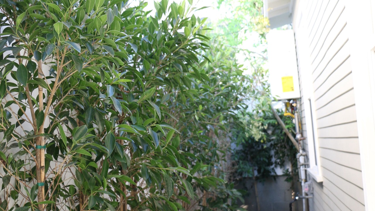 Photo of Outdoor in Little Armenia