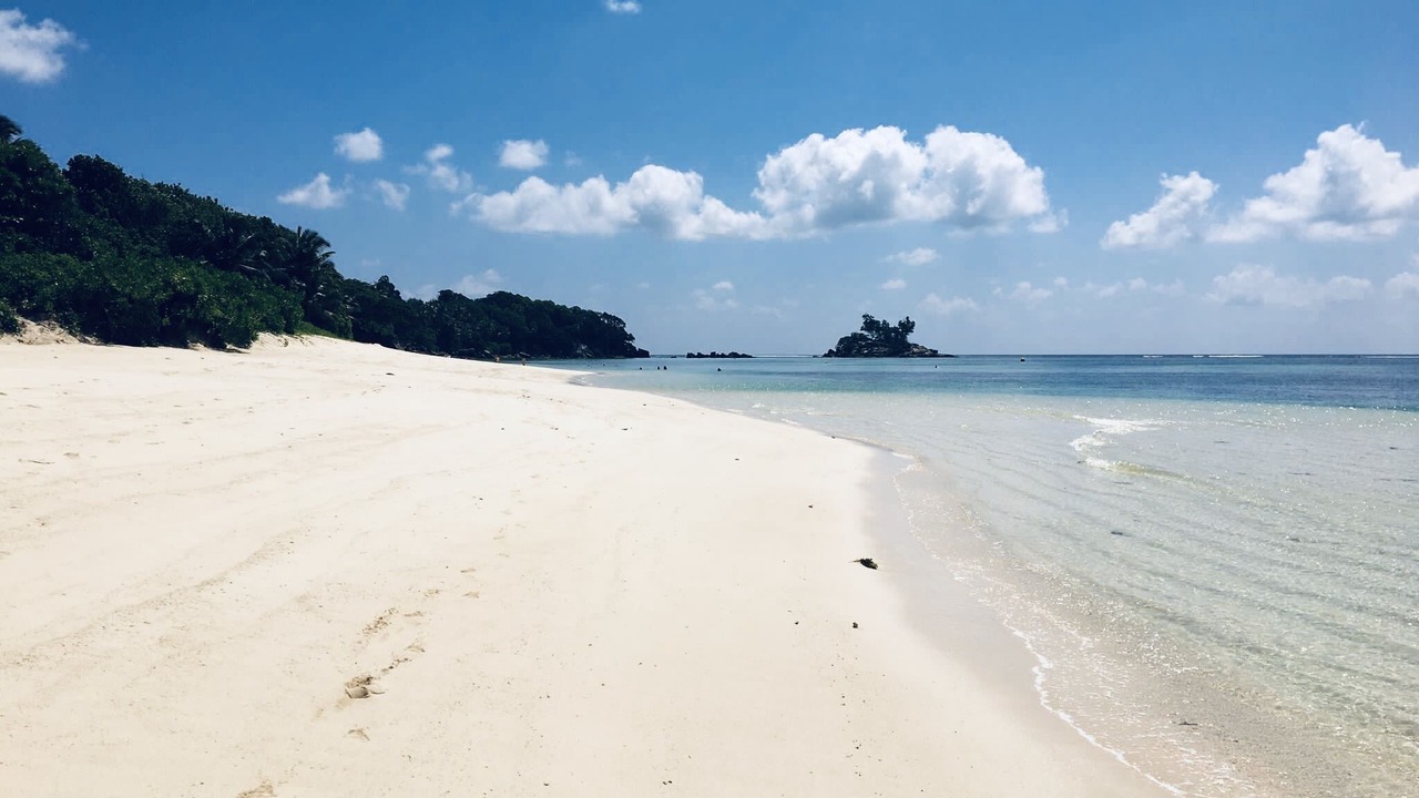 Photo of Others in Anse Royale