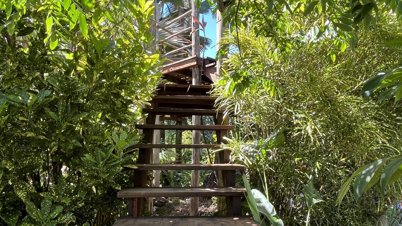 Photo of Outdoor in Anse Royale