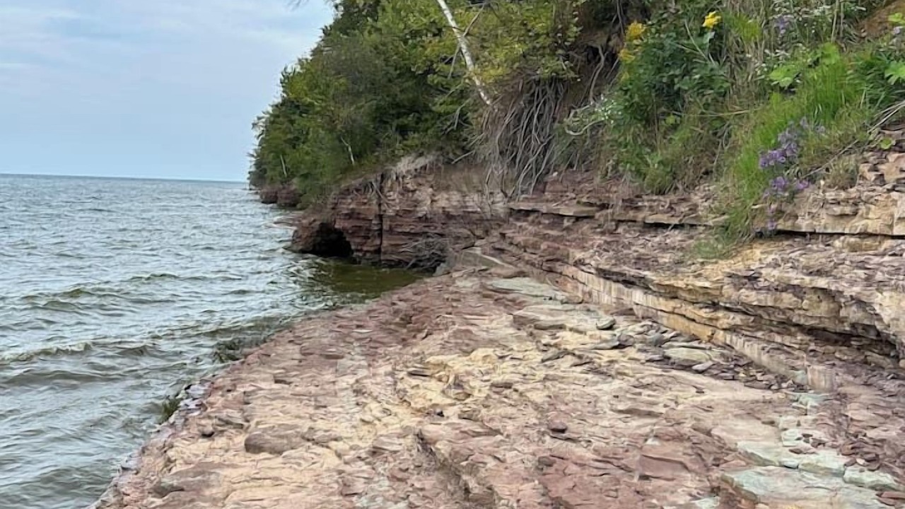 Photo of Others in Niagara County