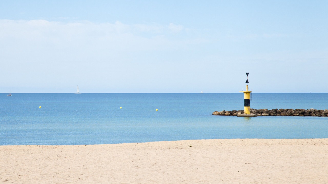 Photo of Others in Palma de Mallorca