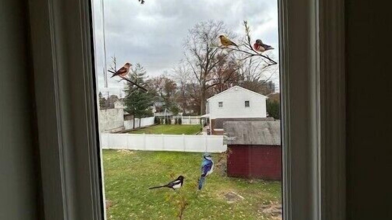 Photo of Others in Teaneck