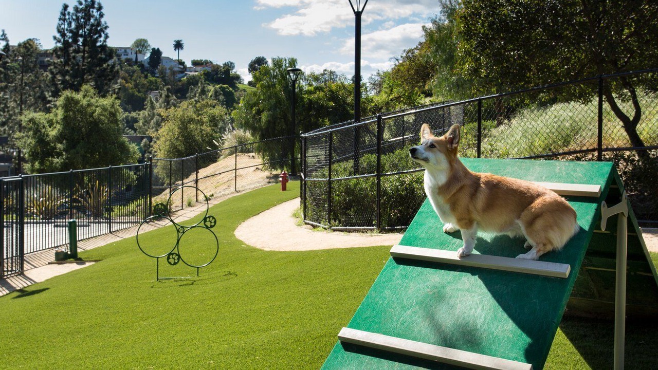 Photo of Outdoor in Los Angeles