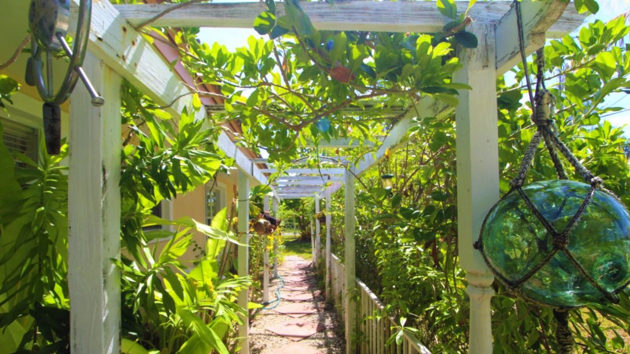 Photo of Outdoor in Windsor Park