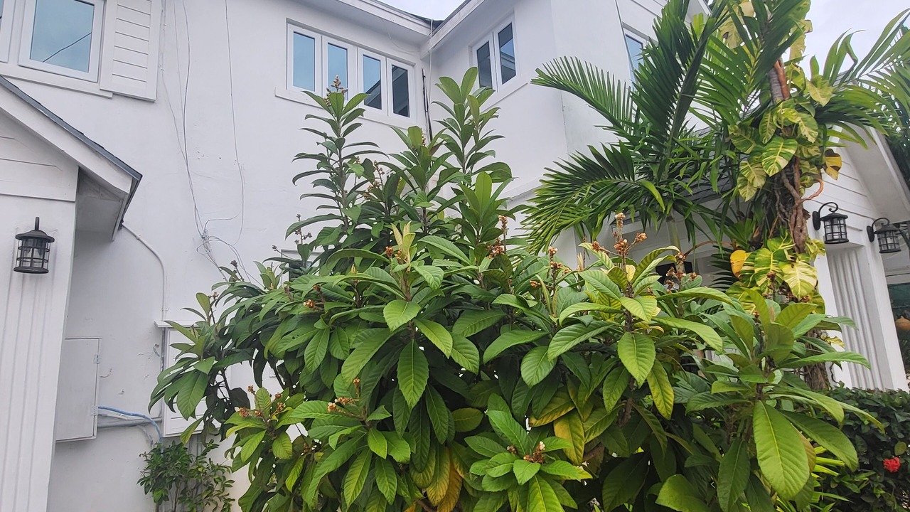 Photo of Outdoor in Nassau