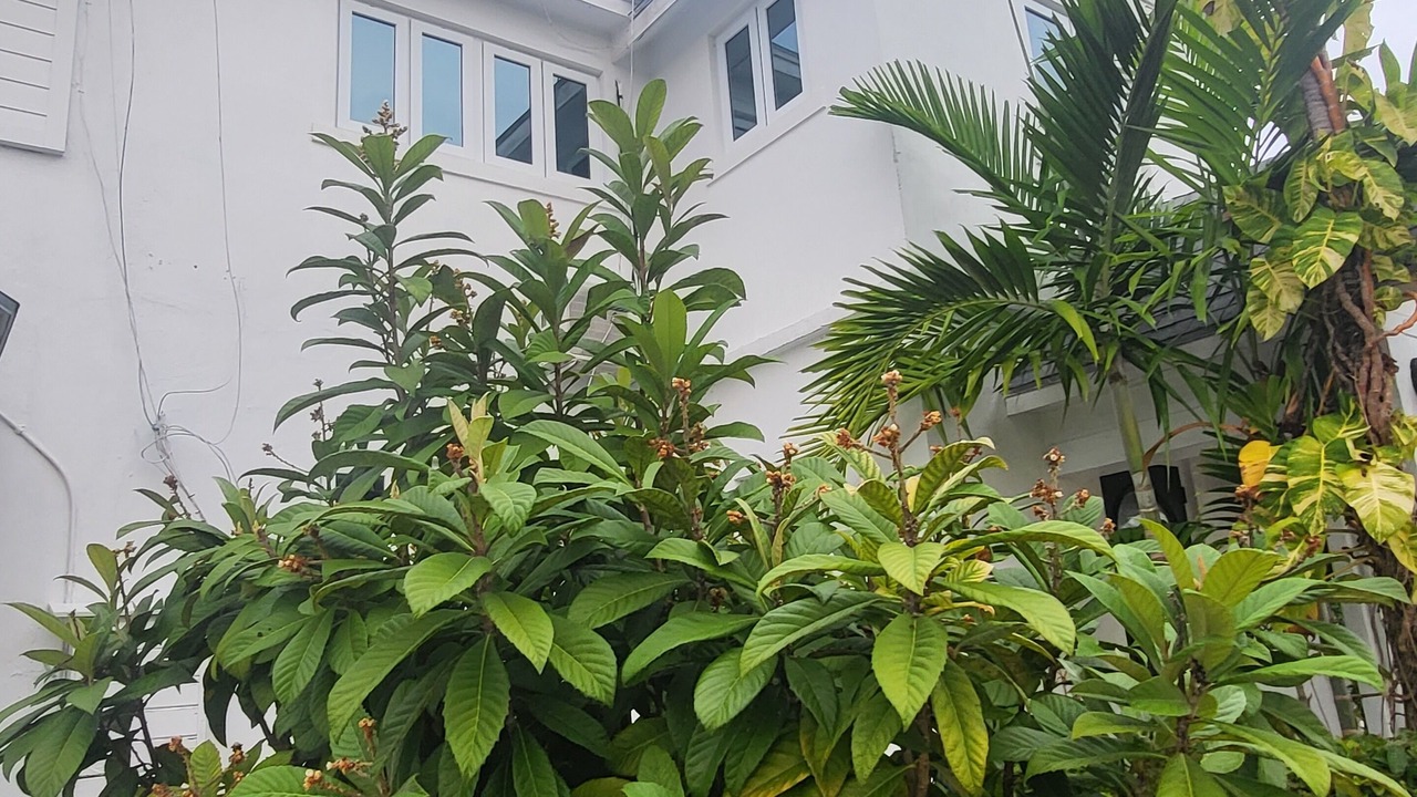 Photo of Outdoor in Nassau