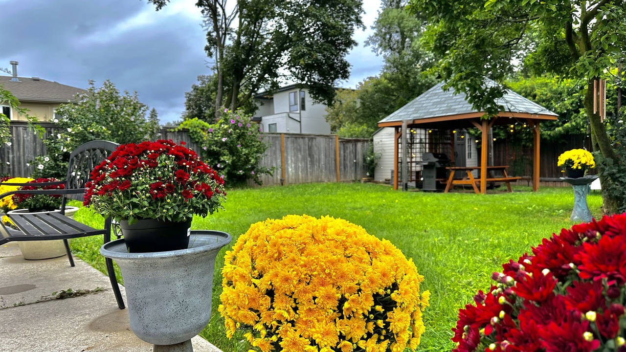 Photo of Outdoor in West Oakville
